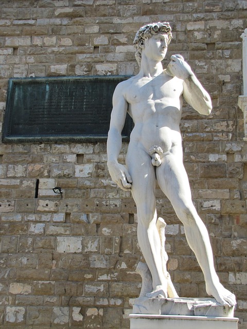 Michelangelo's David